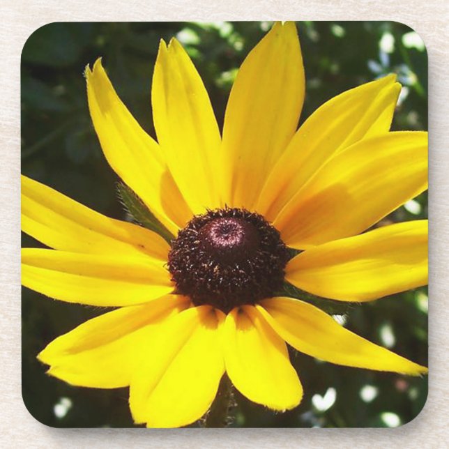 Yellow Daisy Untersetzer (Vorderseite)