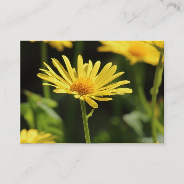 ‎ Yellow Daisy Visitenkarte (Vorderseite)