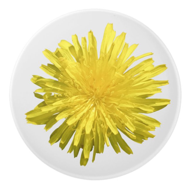 Yellow Dandelion Keramikknauf (Vorderseite)