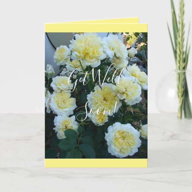 Yellow David Austin Rose Rose Garden Blume Card Karte (Vorderseite)