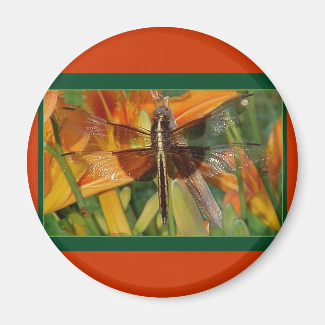 Yellow Dragonfly Magnet (Vorne)