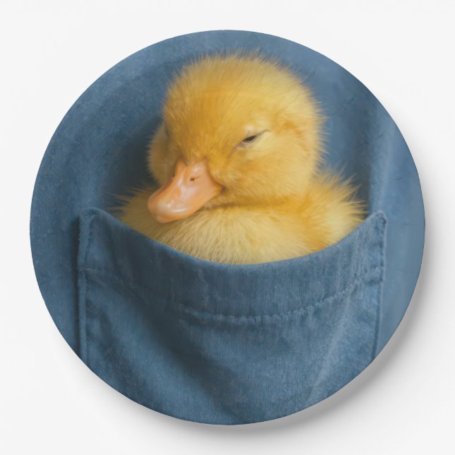 Yellow Duckling In a T-shirt Pocket Pappteller (Vorderseite)