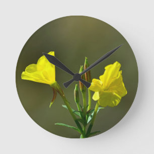 Yellow evening primrose wildflower runde wanduhr
