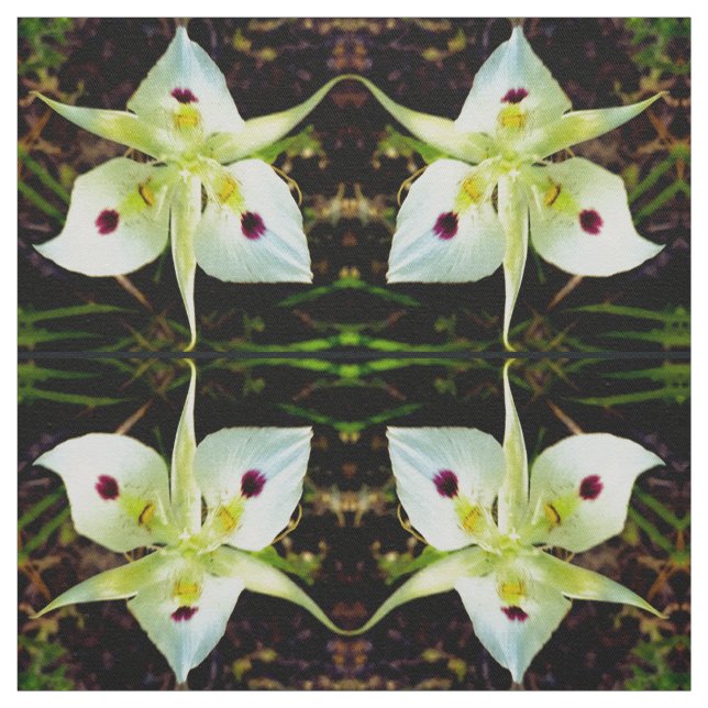 Yellow Fairy Lily Stoff (Muster)