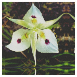 Yellow Fairy Lily Stoff