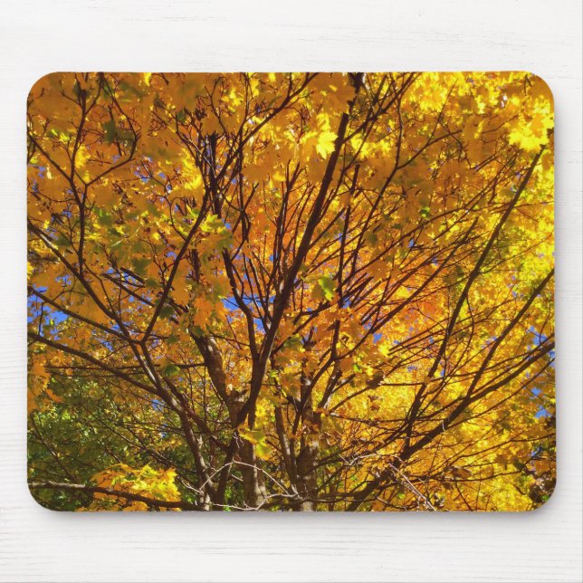 Yellow Fall Foliage Mousepad (Vorne)