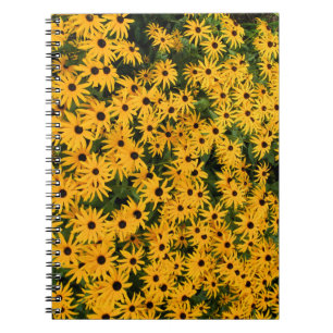 Yellow Field of Daisies Notebook Notizblock
