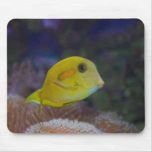 Yellow Fishy Mousepad