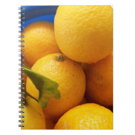 Yellow Florida Lemons Notizblock