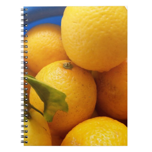 Yellow Florida Lemons Notizblock (Vorderseite)