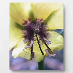 Yellow Flower 3 Fotoplatte