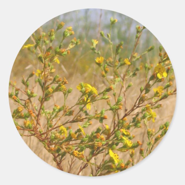 Yellow Flowers Bush Sticker (Vorderseite)