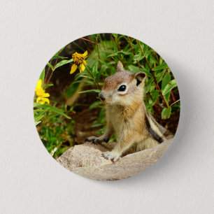 Yellow Flowers Chipmunk Button