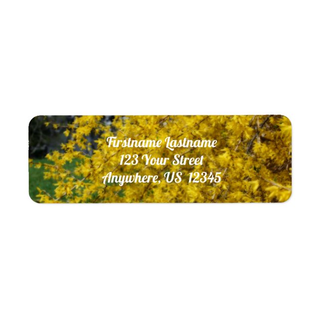 Yellow Forsythia Blume Orton Effect Address (Vorne)