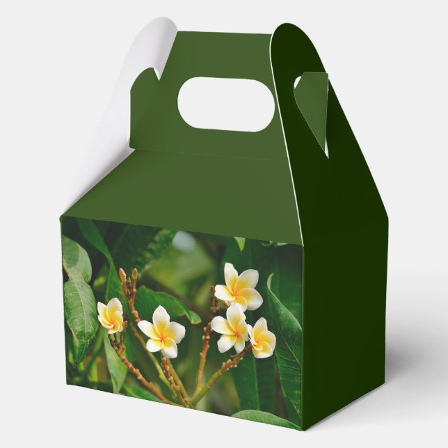 Yellow Frangipani Geschenkschachtel (Vorderseite)