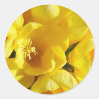 Yellow Freesia Runder Aufkleber