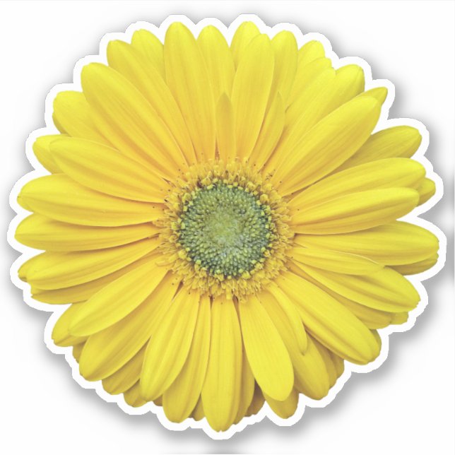 Yellow Gerber Daisy Blume Kiss-Cut Sticker (Vorderseite)