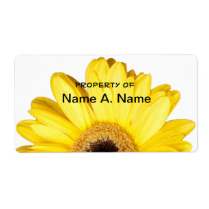Yellow Gerber Daisy Nah Up Fotografie