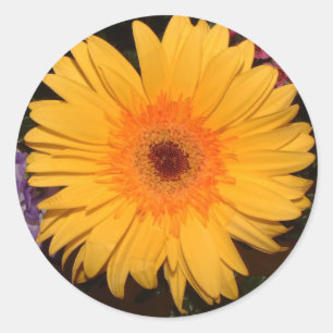Yellow Gerber Daisy Runder Aufkleber
