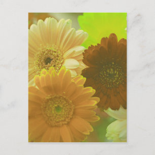 Yellow Gerbera Daisy Blume Foto Art Postkarte