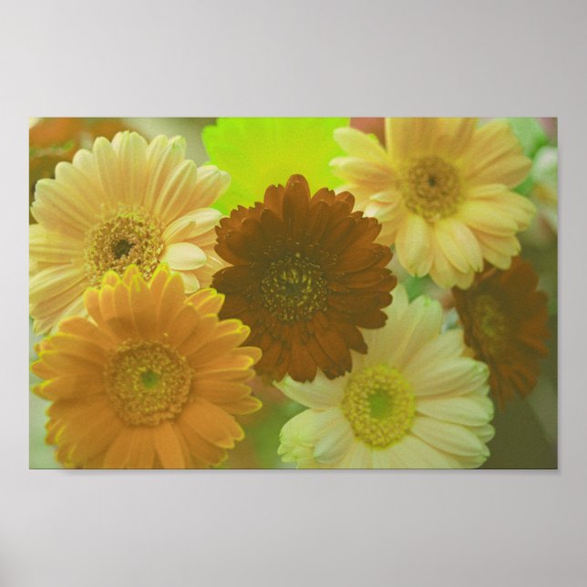 Yellow Gerbera Daisy Blume Wall Art Print Poster (Vorne)