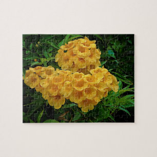Yellow Ginger Thomas Jungfrau Islands Blume Puzzle