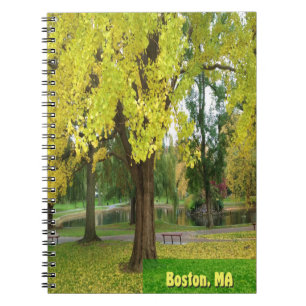 Yellow Gingko Tree - Boston Public Garden Notizblock