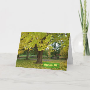 Yellow Gingko Tree Karte