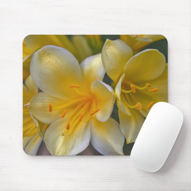 Yellow Gold Liege Garden Blume Maus Pad Mousepad (Mit Mouse)