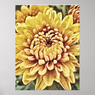Yellow Gold Mum Blume Fotokunst Print Poster