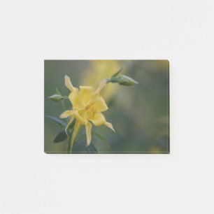 Yellow Good Post-it Klebezettel