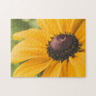 Yellow Hardy Sunflower Best Sunflower Fotos Puzzle