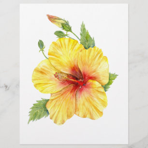 Yellow Hibiscus Botanical