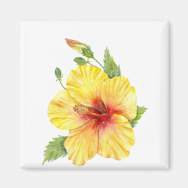 Yellow Hibiscus Botanical Magnet (Vorne)
