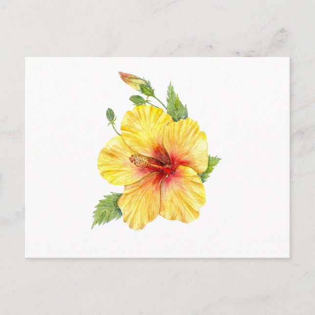 Yellow Hibiscus Botanical Postkarte (Vorderseite)