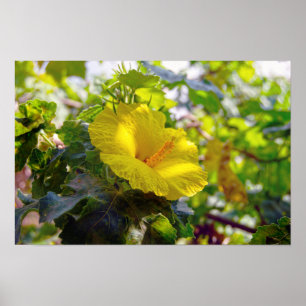 Yellow Hibiskus Hawaii Staat Blume Poster