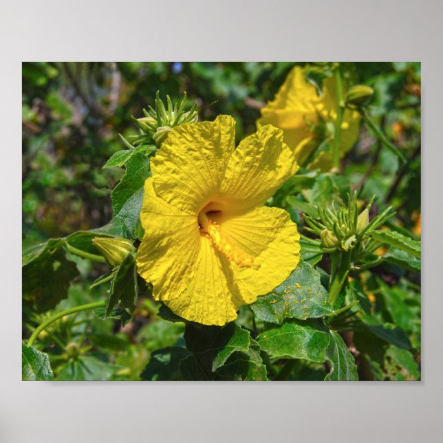Yellow Hibiskus Hawaii Staat Blume Poster (Vorne)