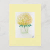 Yellow Hydrangea