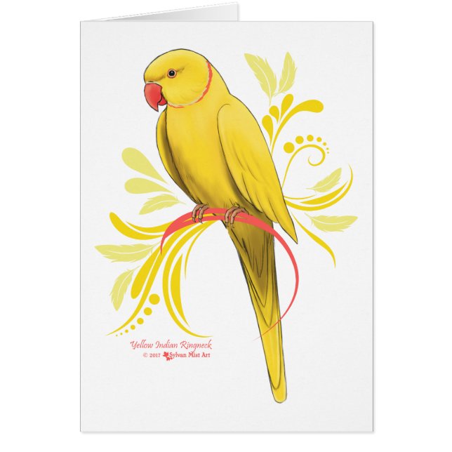 Yellow Indian Ringneck (Vorne)