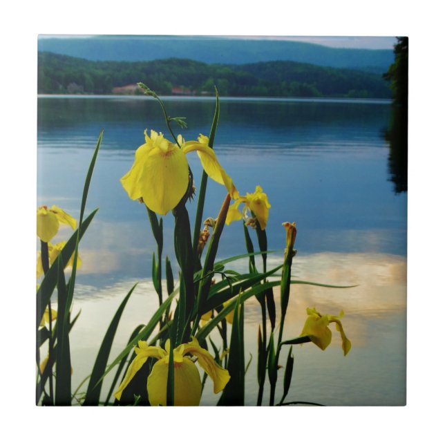 Yellow Iris am Lake Shore Fliese (Vorderseite)
