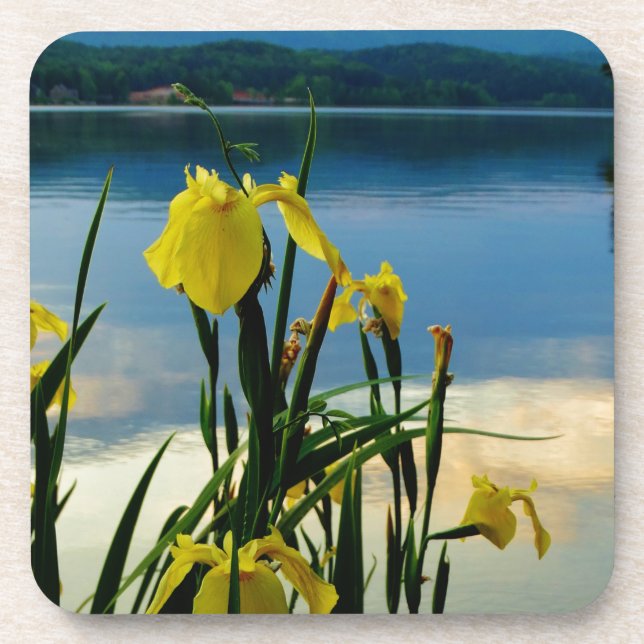 Yellow Iris am Lake Shore Getränkeuntersetzer (Vorderseite)