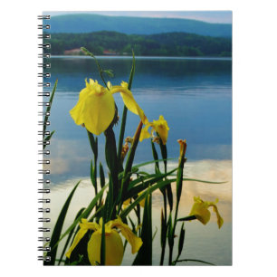 Yellow Iris am Lake Shore Notizblock