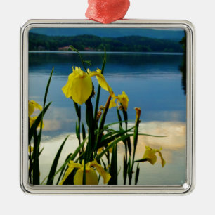 Yellow Iris am Lake Shore Silbernes Ornament