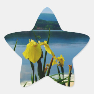 Yellow Iris am Lake Shore Stern-Aufkleber