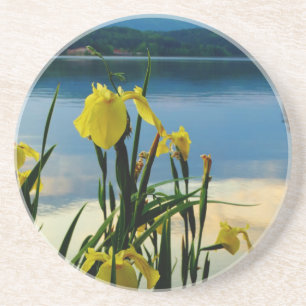 Yellow Iris am Lake Shore Untersetzer