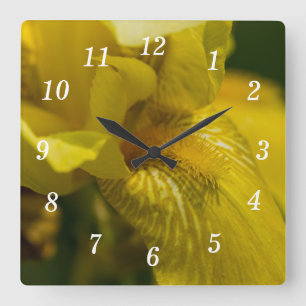 Yellow Iris Bean Wall Clock Quadratische Wanduhr