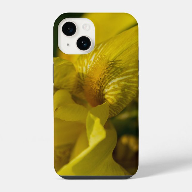 Yellow Iris Beard iPhone Case Hülle (Rückseite)