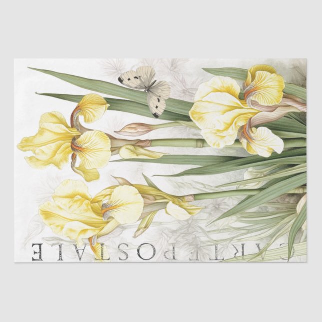 Yellow Iris Blume Butterfly French Decoupage Seidenpapier (Vorderseite)
