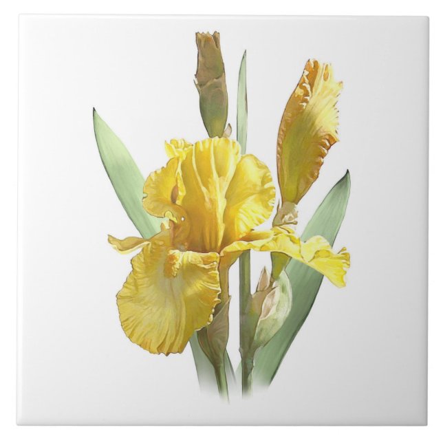 Yellow Iris Blume Fliese (Vorderseite)