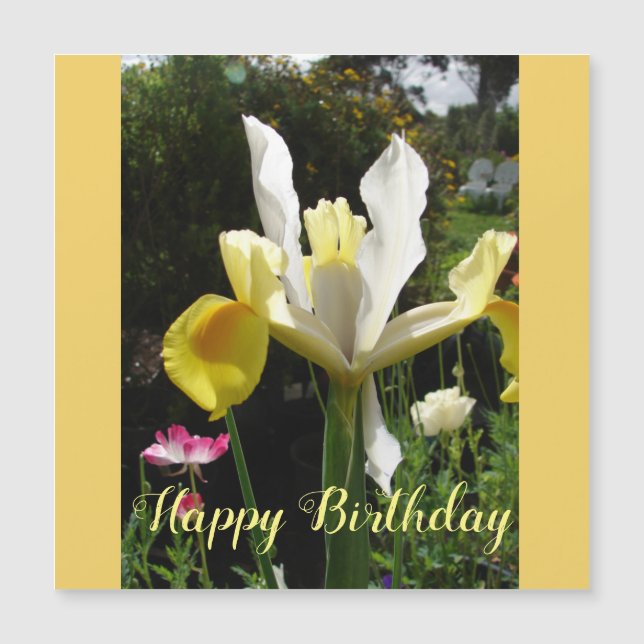 Yellow Iris Blume Floral Birthday Irises Magnetkarte (Vorderseite)